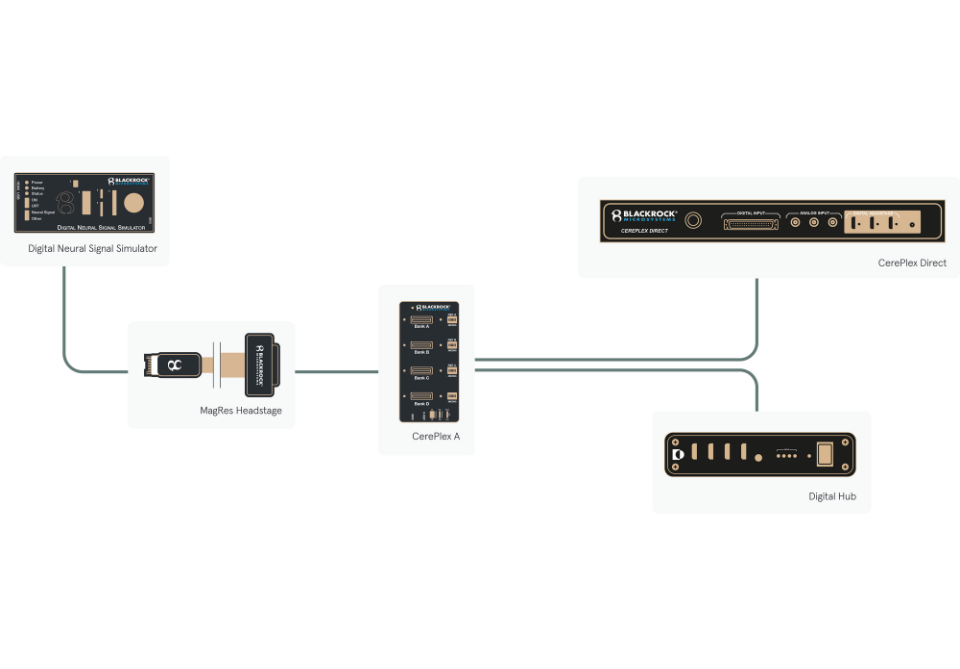 MagRes Diagram
