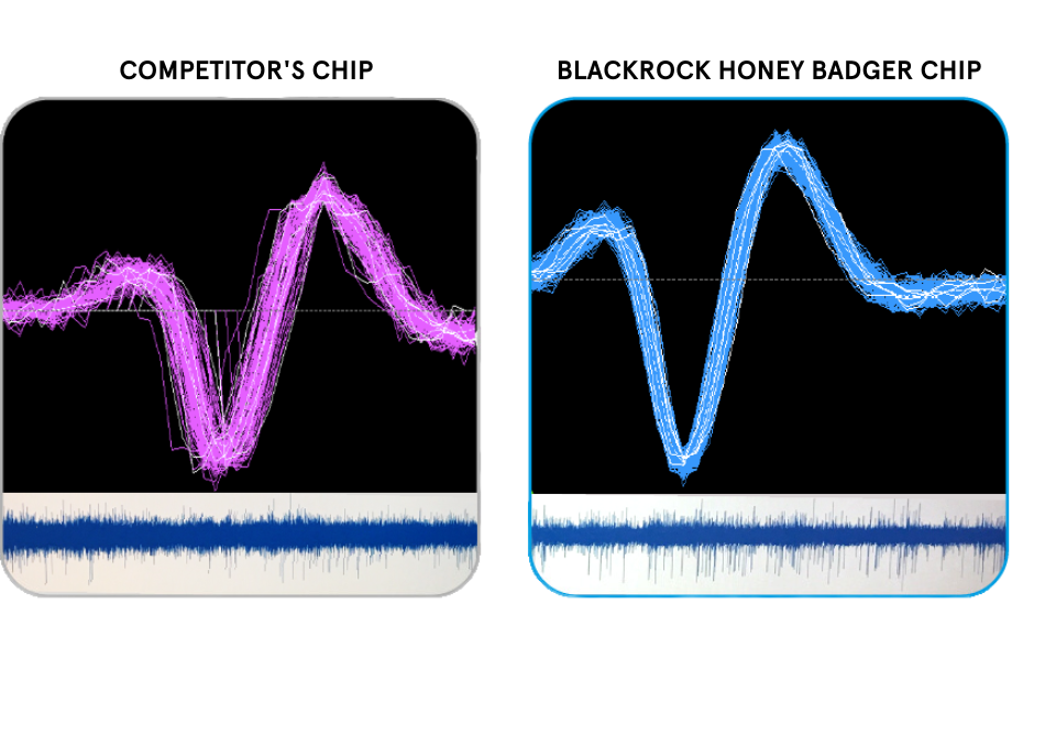 NeuroPlex E Comparison